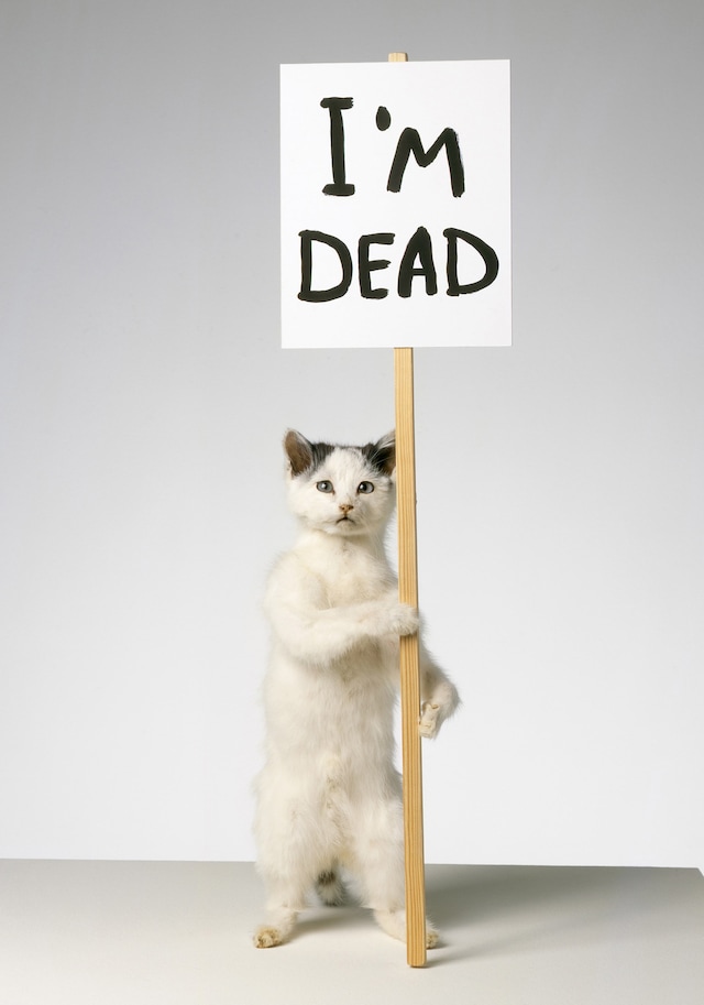 David Shrigley, “I’m Dead” (2007) 1