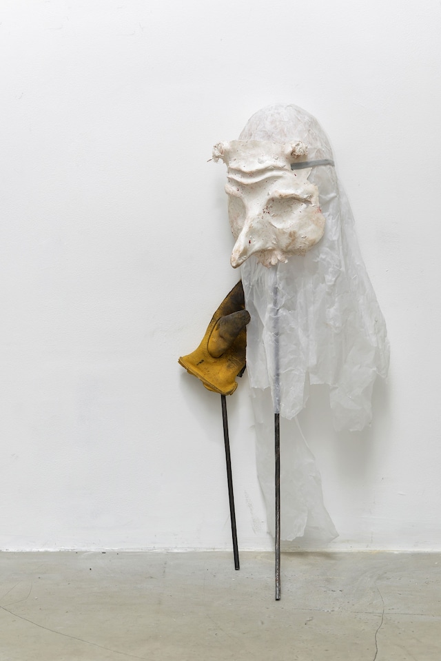 Jesse Darling, “The First Lady” (2017) 7