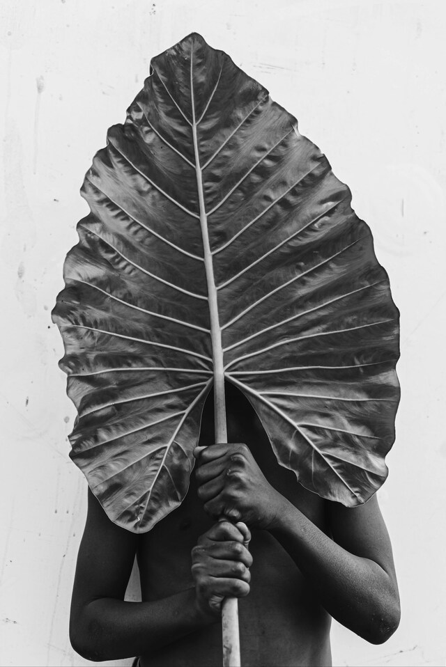 1657719271111-homecoming-gallerykojo-animsole-lami 4