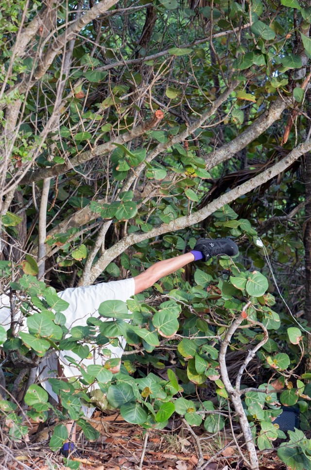 On Art Basel Miami | Dazed