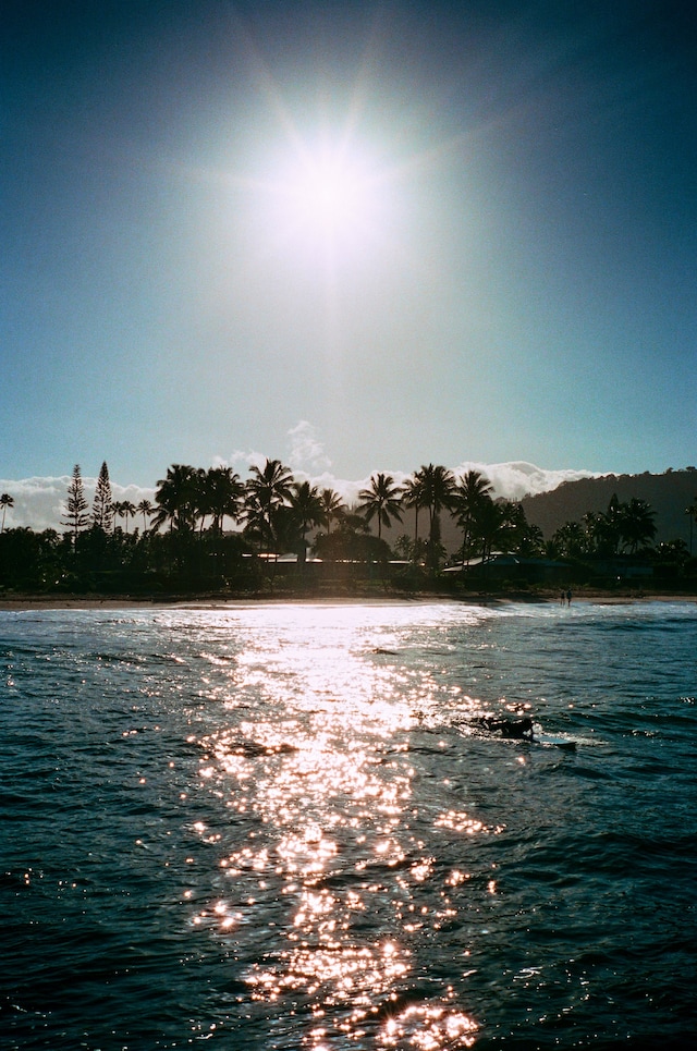 Island Time, Vivian Kim (2022) 1