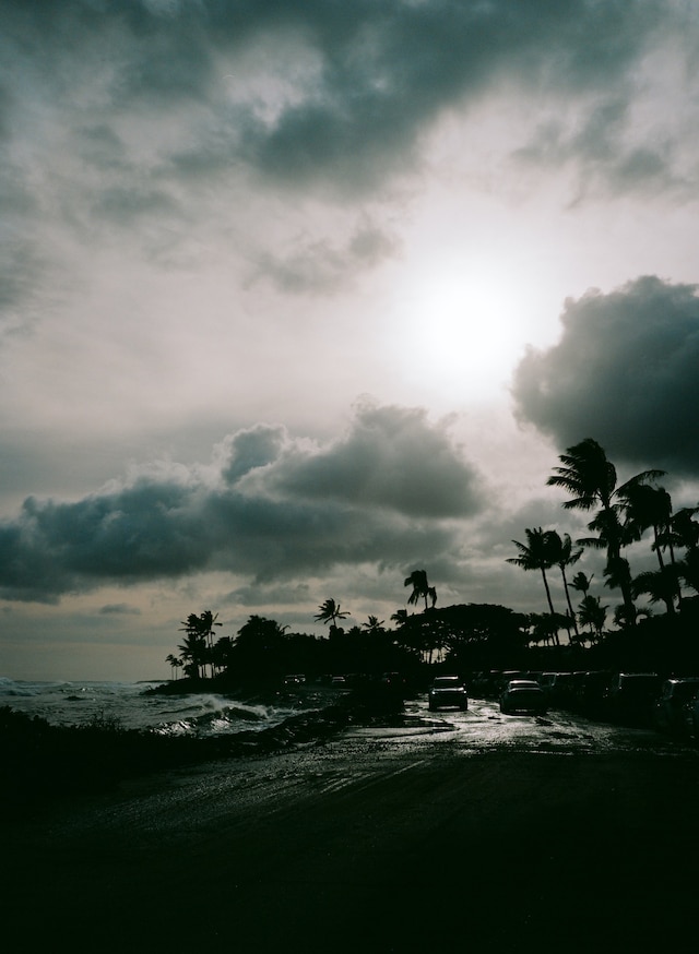 Island Time, Vivian Kim (2022) 12