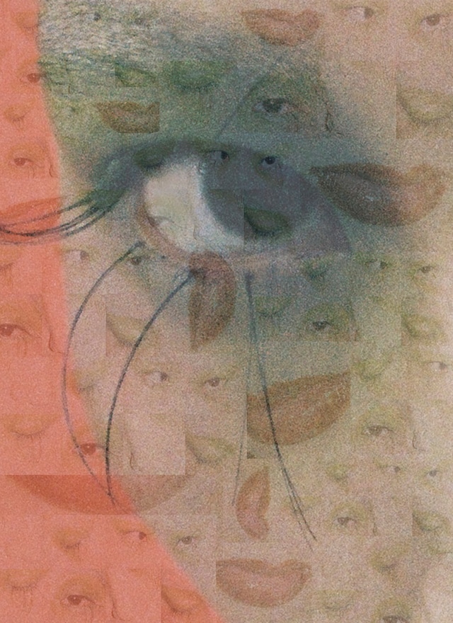 Yulia Plakhotnikova: The Colour Theorem 14