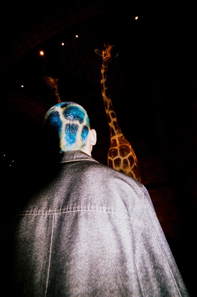 Max Heilbronn Trim buzzcut dyed hair 9