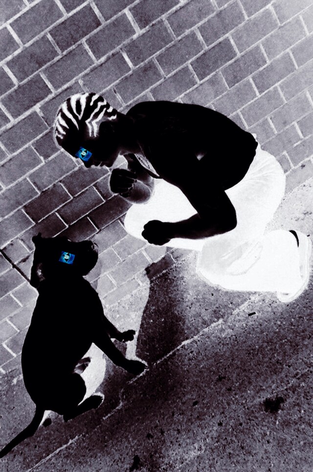 Max Heilbronn Trim buzzcut dyed hair 10