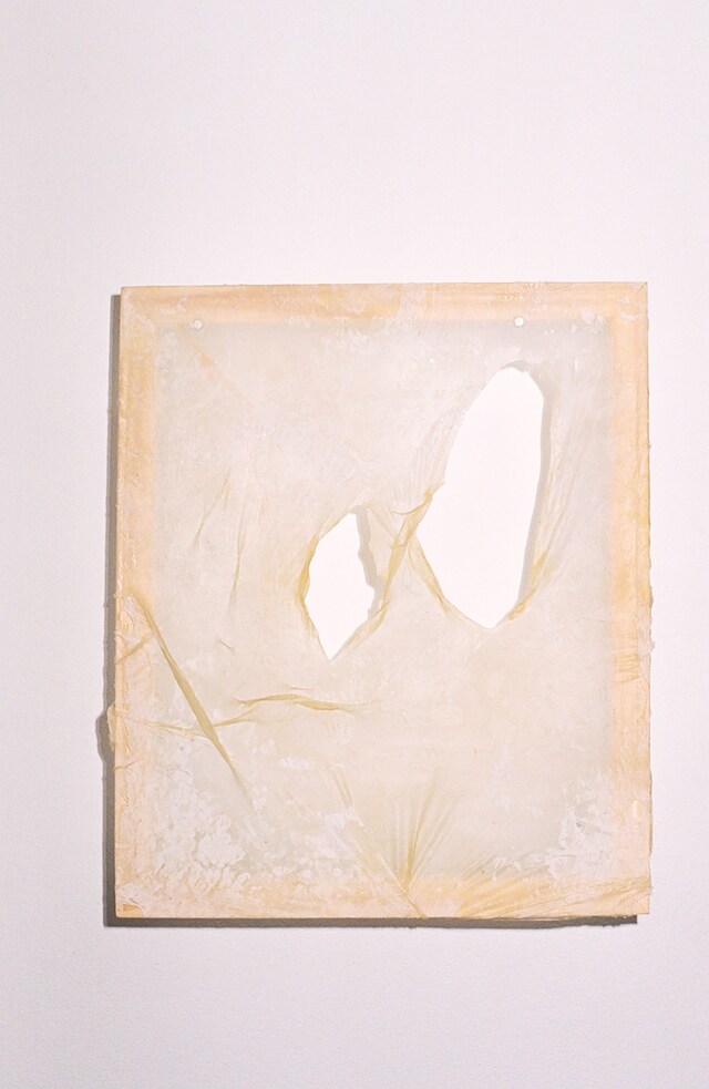 COMPERSION_MAYA FUHR0193 10