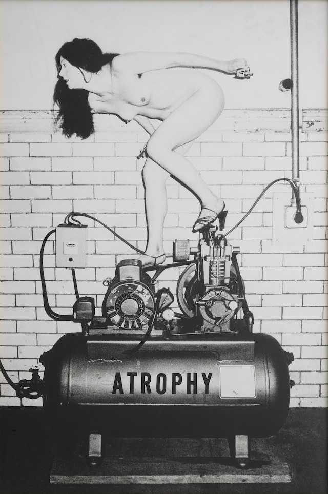 Hannah Wilke, “Atrophy” (1978-1984) 0