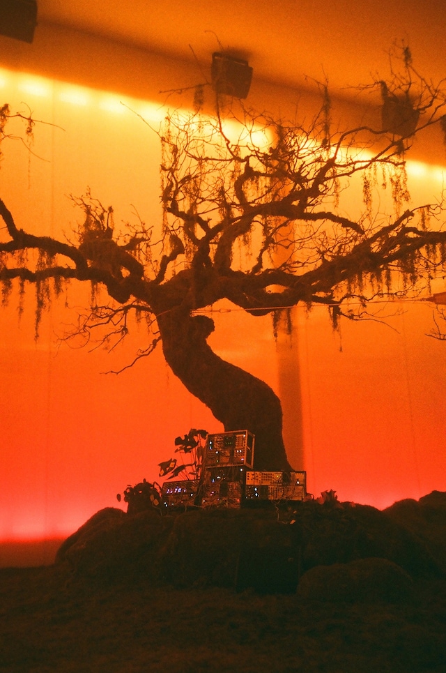 TREE_Sophie Final 3 The Art of Genius Moncler 10
