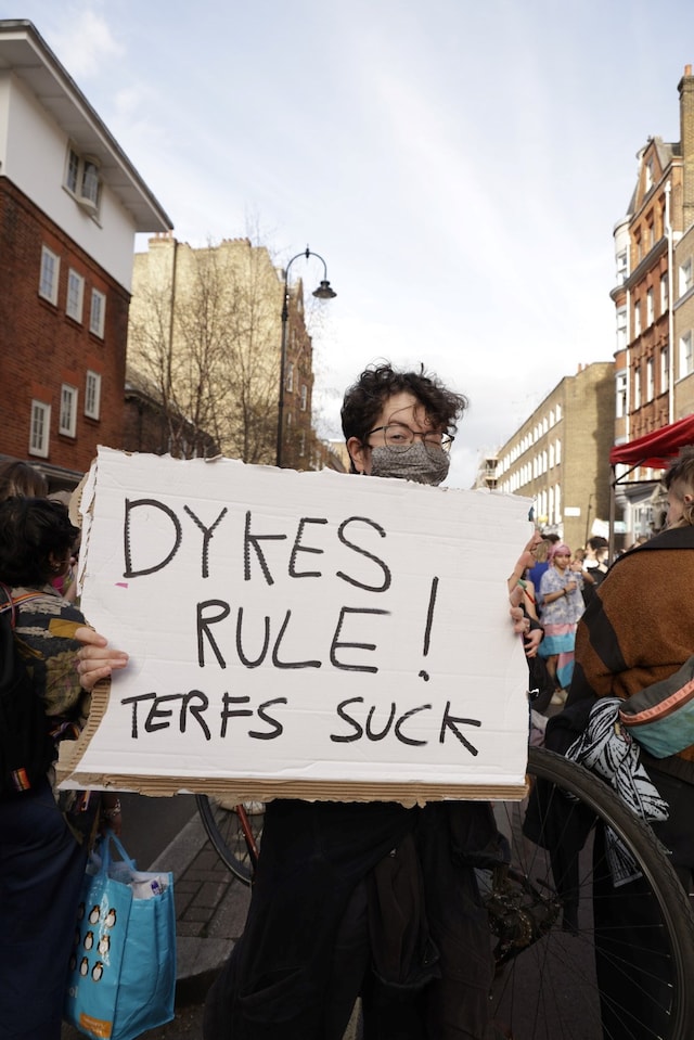 The Dyke Project 7