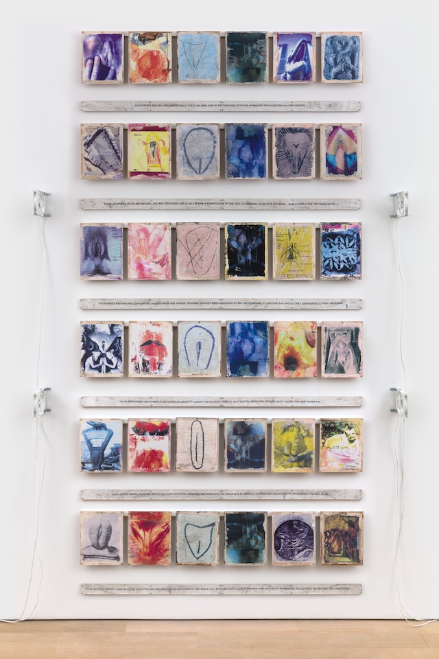 Carolee_Schneemann_Vulva_s_Morphia__1995_6_high_qu 2