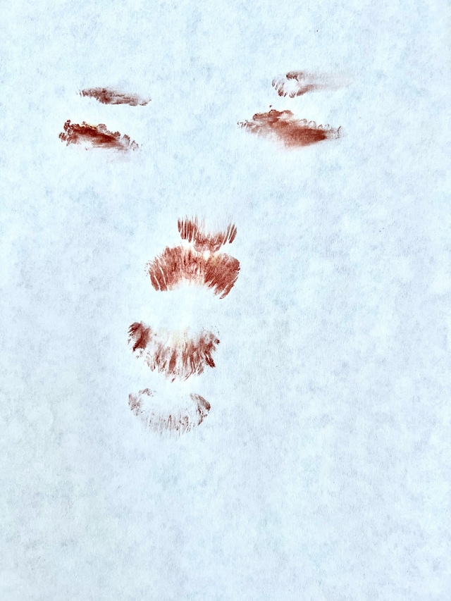 Lipstick by Stacy Greene 13