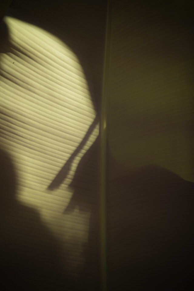 Leonard Pongo, &quot;Untitled&quot; (2020), Primordial Earth Series 2