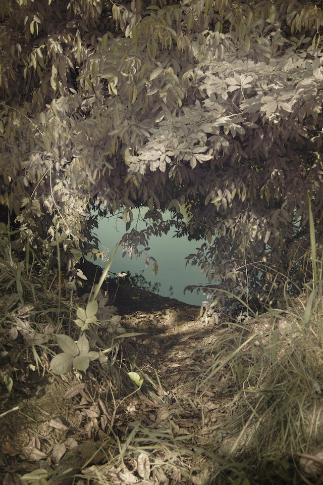 Leonard Pongo, &quot;Untitled&quot; (2020), Primordial Earth Series 4