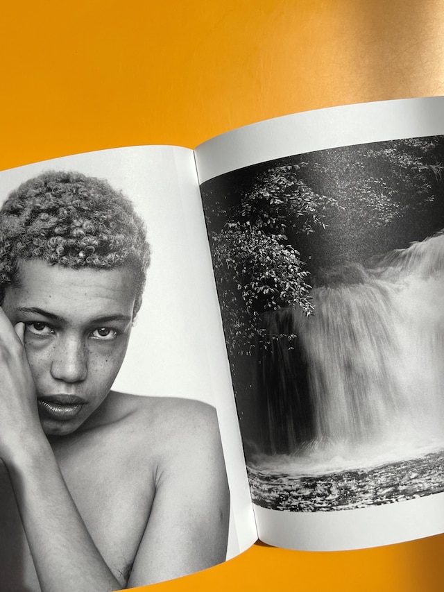 Alasdair McLellan, Home and Away (2023) 11