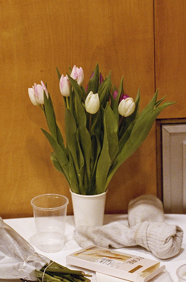 Rene Matić, “Southbank Centre Dressing Room II”, London (202 7