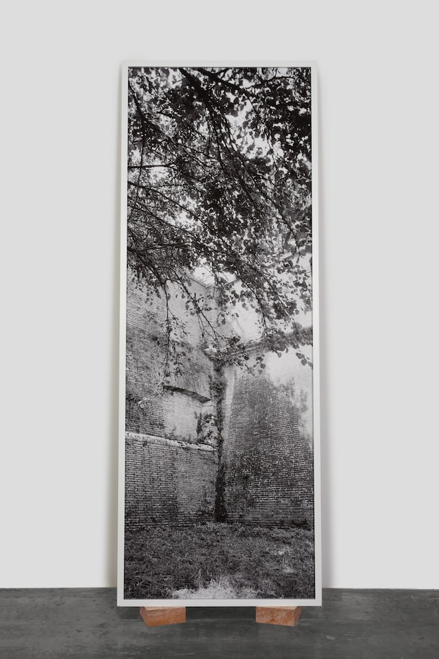 Catherine Opie, Walls, Windows and Blood (2023) 3