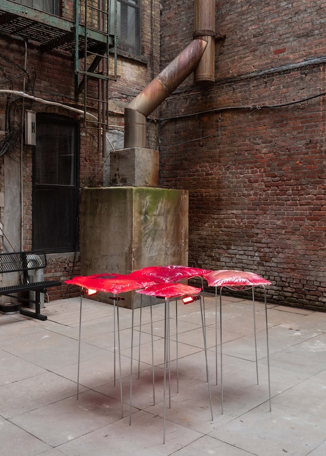 Julia Thompson ‘Leftovers’ 5