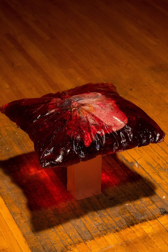 Julia Thompson, ‘no archive will restore you’ (2022) 6