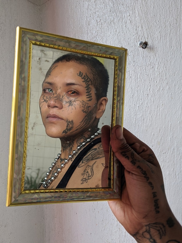 Mayan Toledano, No Mames (2023) 0