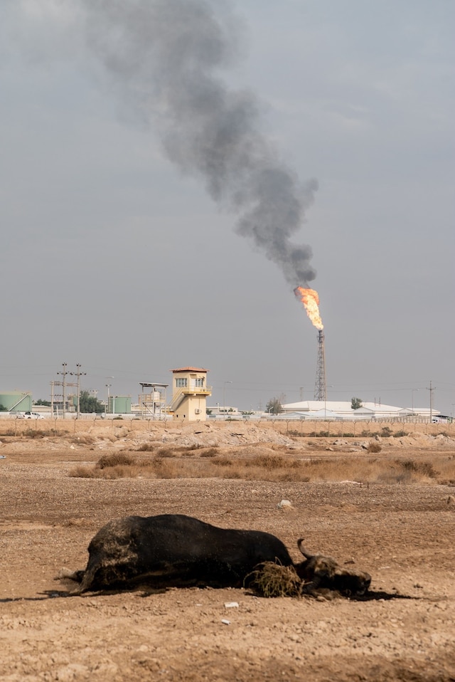 Laure Playoust photographer 17