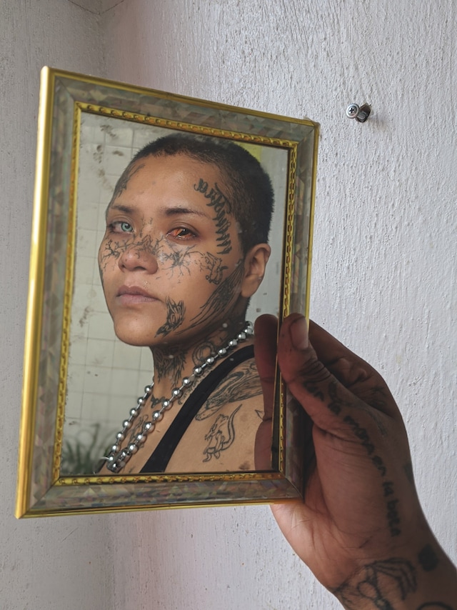 Mayan Toledano, No Mames (2023) 0