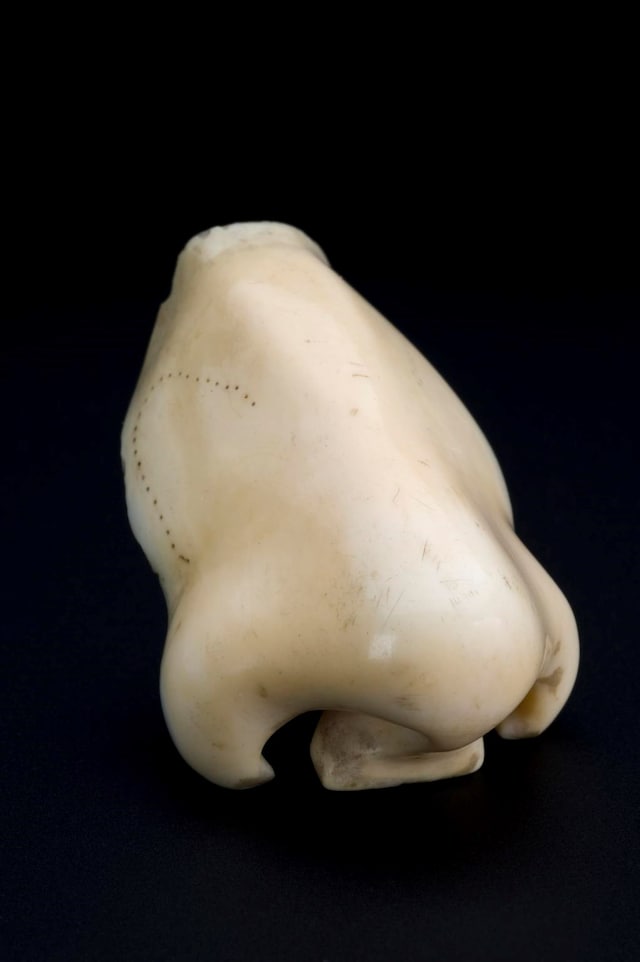 WELL-11084 Ivory artificial nose Europe 1701-1800 11
