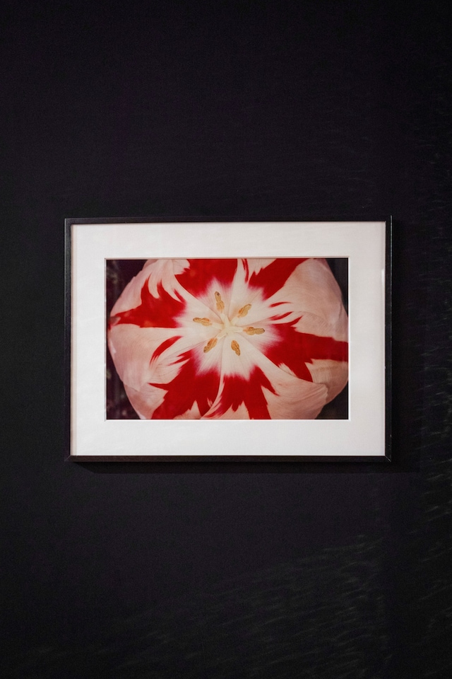 Nobuyoshi Araki 6