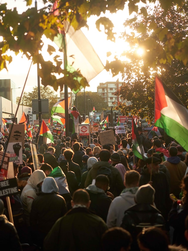 The pro-Palestine in London on 11 November 2023 8