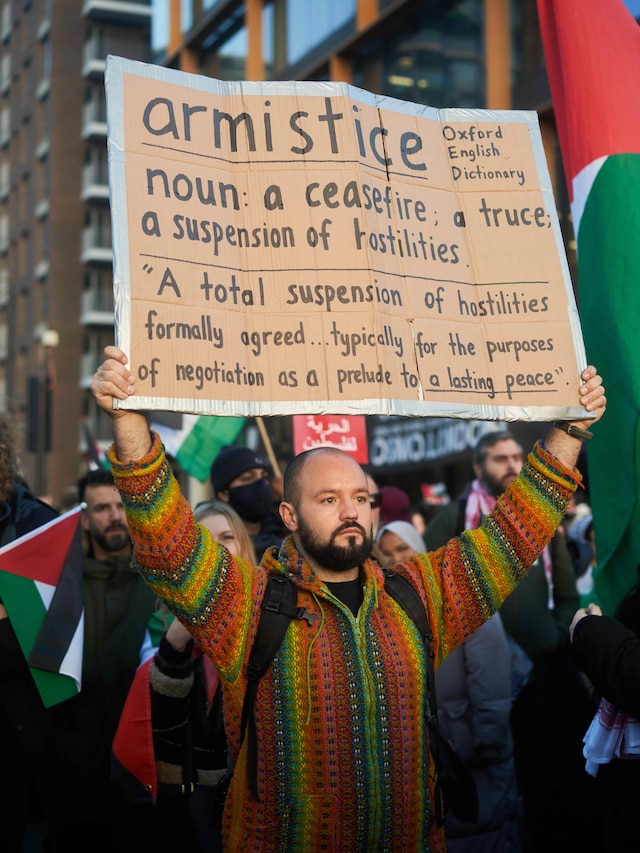 The pro-Palestine in London on 11 November 2023 11