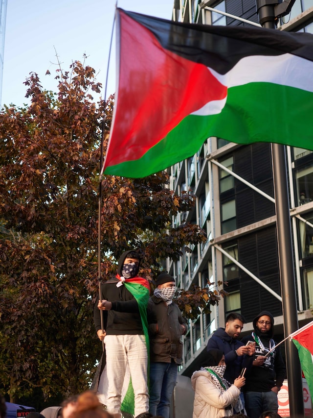 The pro-Palestine in London on 11 November 2023 13