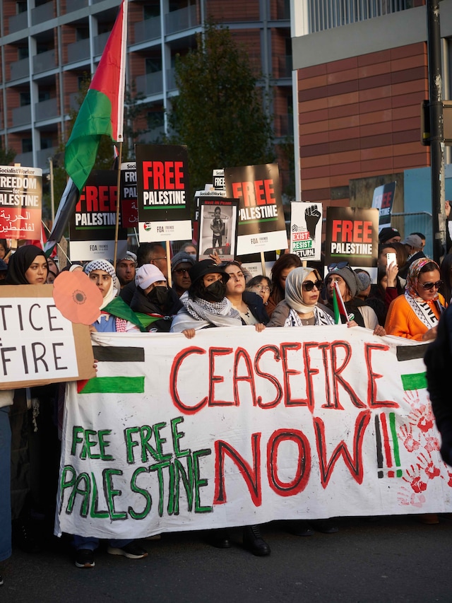 The pro-Palestine in London on 11 November 2023 18