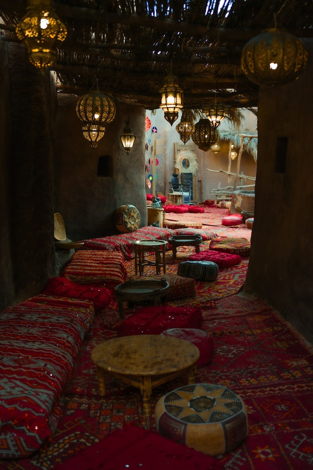 Oasis Into The Wild – 2023 festival 11
