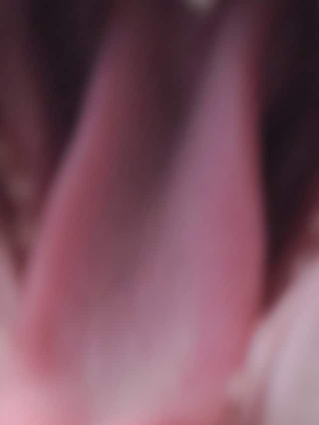 Nika Sandler, My Nonhuman Friends 7