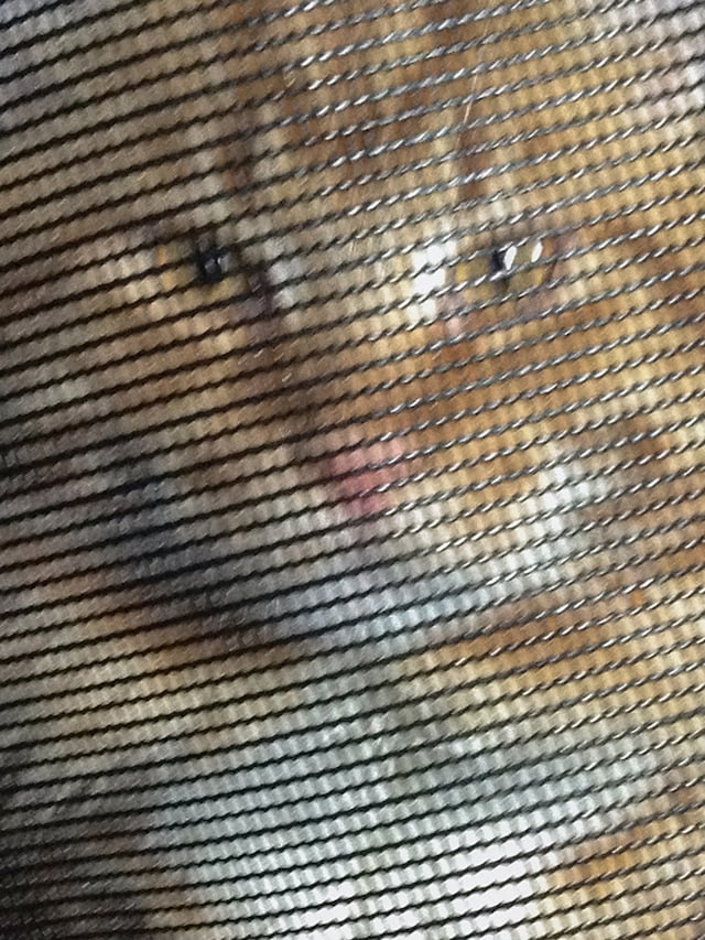 Nika Sandler, My Nonhuman Friends 4