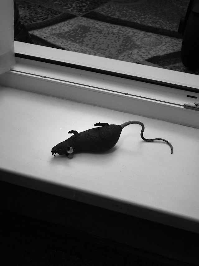 Nika Sandler, My Nonhuman Friends 5