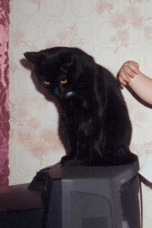 Nika Sandler, My Nonhuman Friends 15