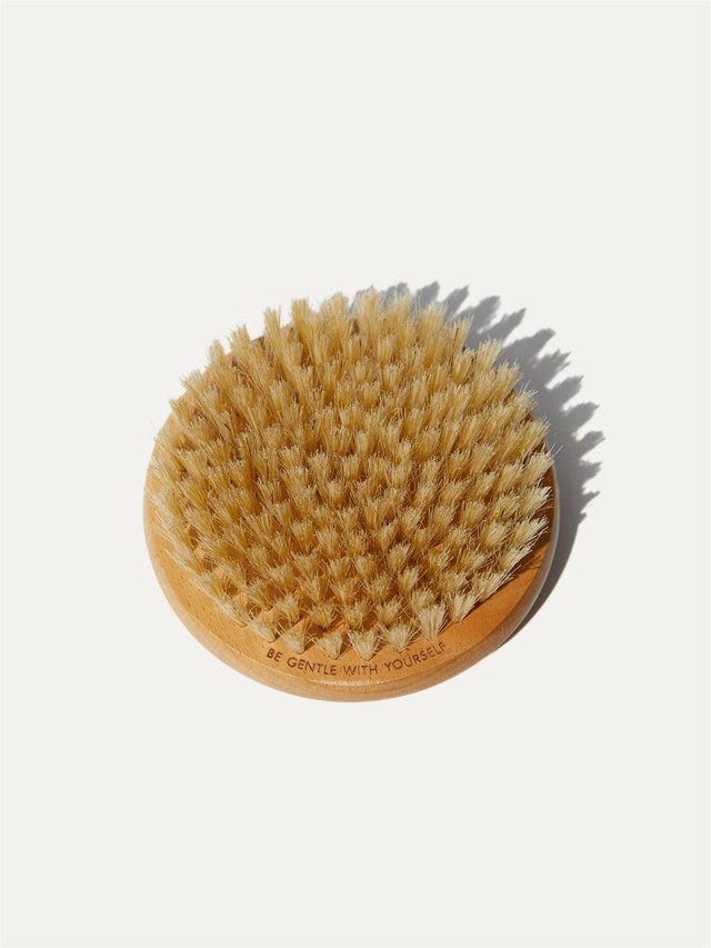 Everyday Oil Dry Brush