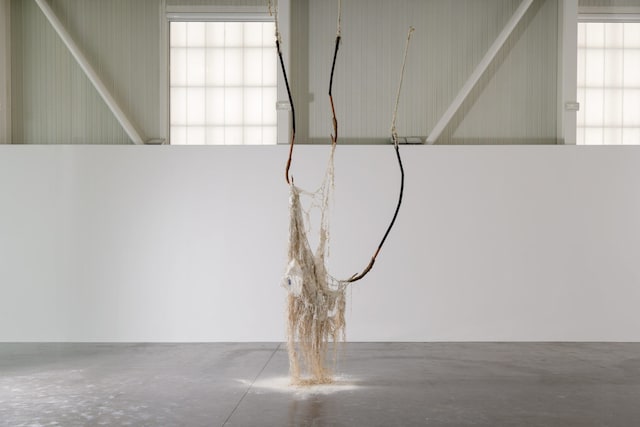 SARGASSO SEA, DOMINIQUE WHITE AND ALBERTA WHITTLE, THE ICA