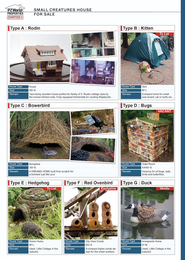 PZ World Properties 17