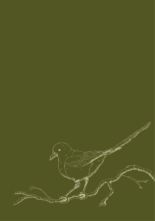 Ordinary zine 4