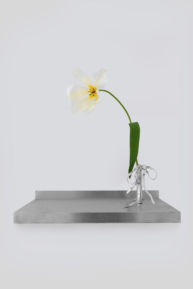 Leo Costelloe, Special Day (2024) 6