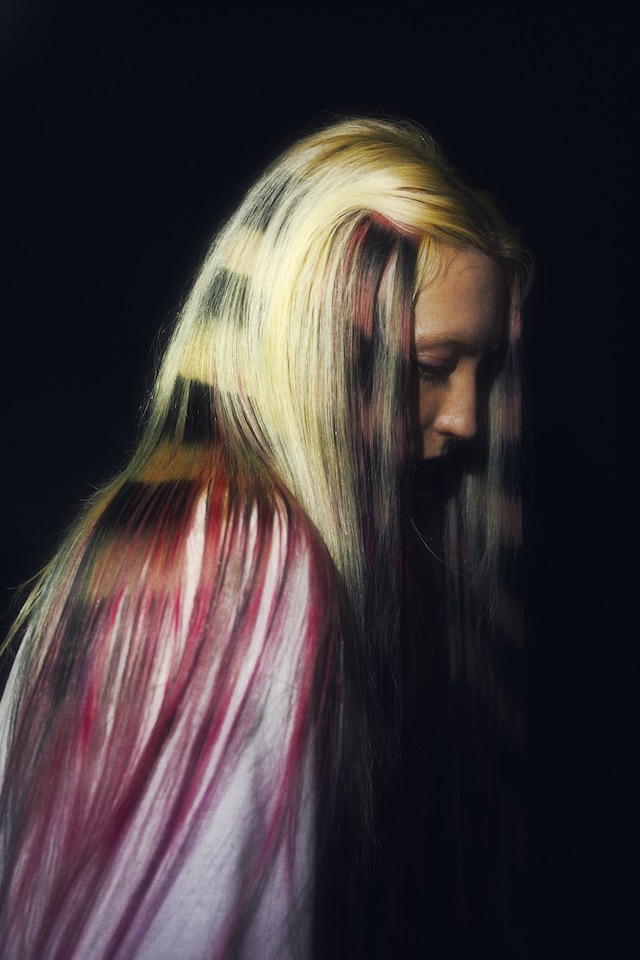 Hair by Evanie Frausto wigs extensions clip-ins 6