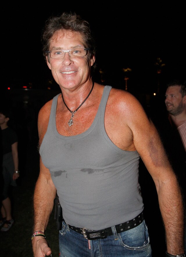 David Hasselhoff, 2008 Coachella 25