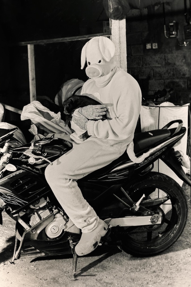 pigbaby,i don’t care if anyone listens to this shit once you 5