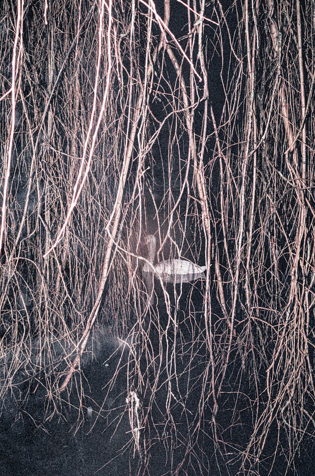 At Least Until the World Stops Going Round 1