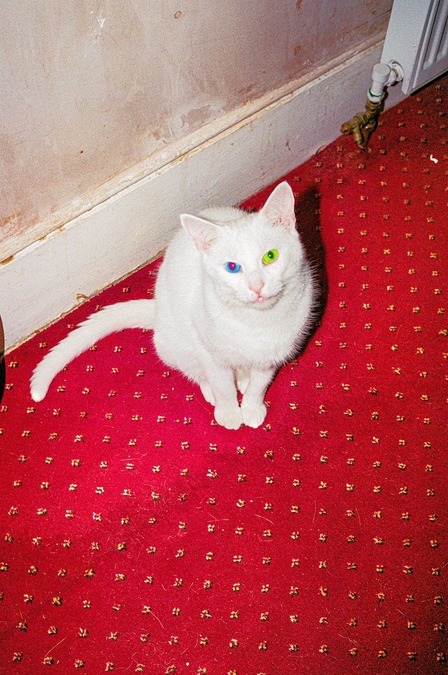 At Least Until the World Stops Going Round 10