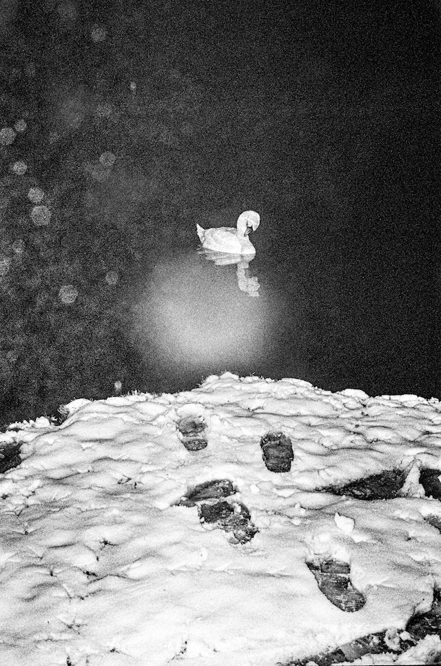 At Least Until the World Stops Going Round 7