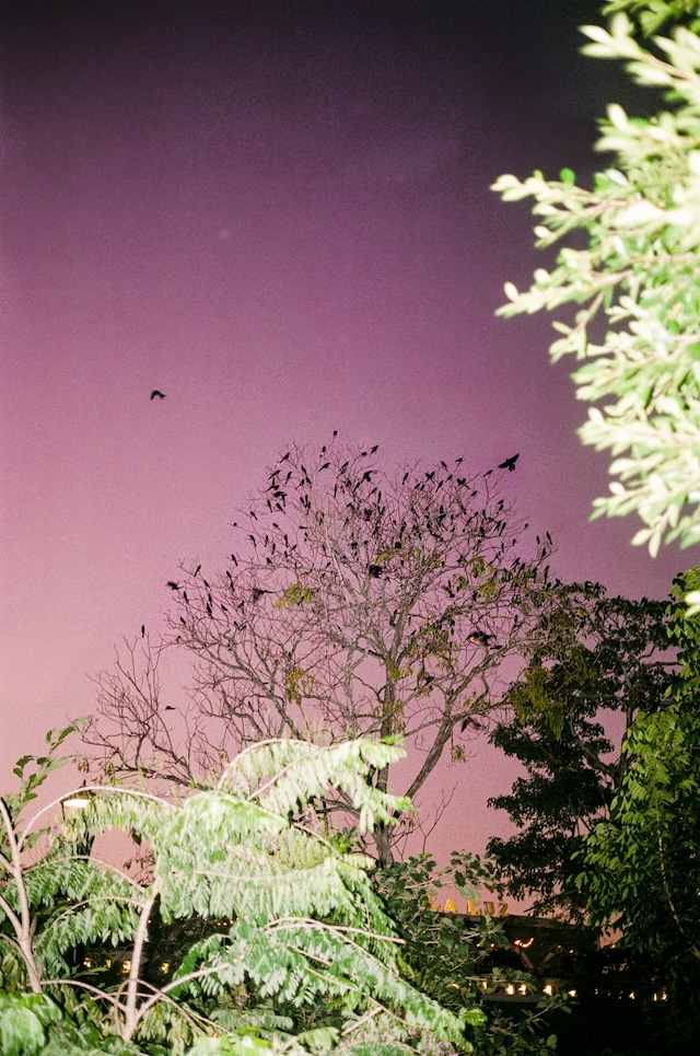 At Least Until the World Stops Going Round 13