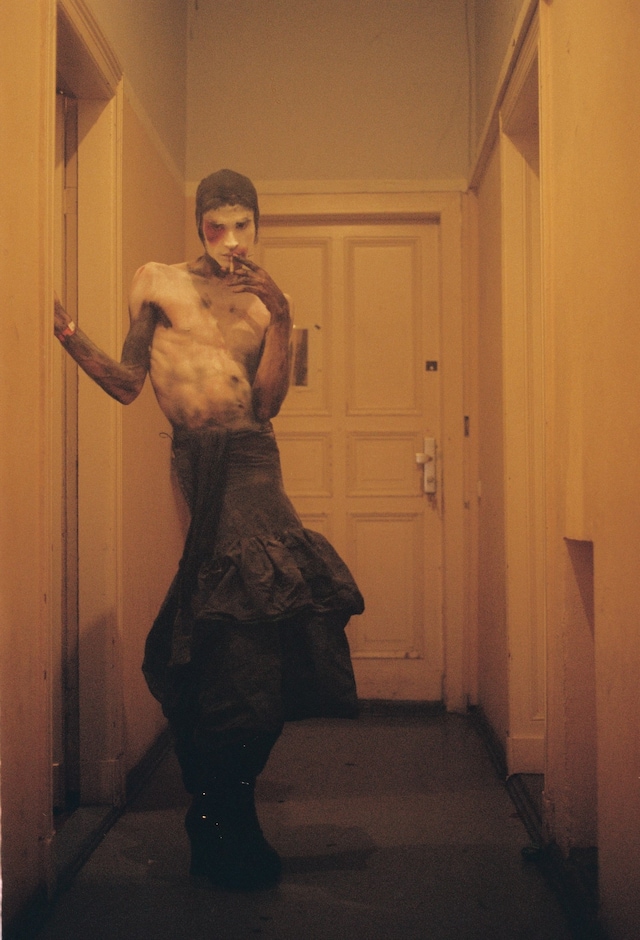 ARTIS 2.- lunacy JPG 3