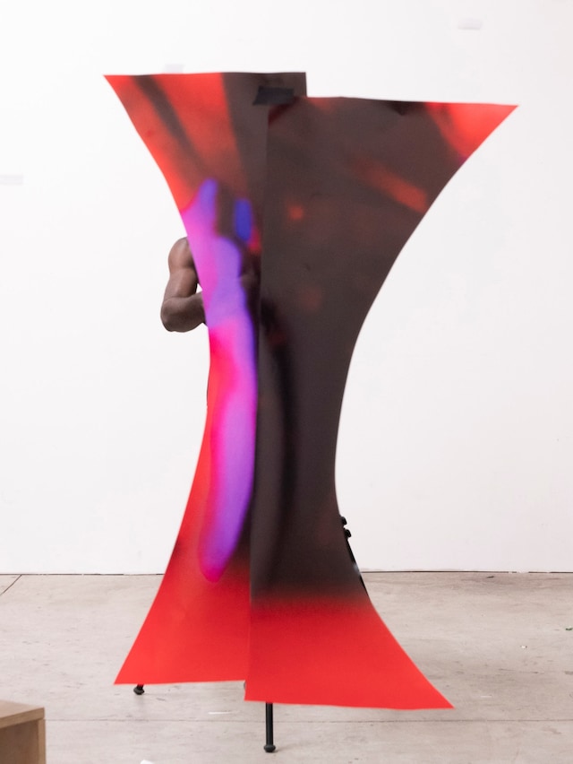 Paul Mpagi Sepuya, Dark Room A-Z (2024) 12